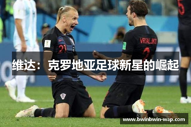 维达：克罗地亚足球新星的崛起