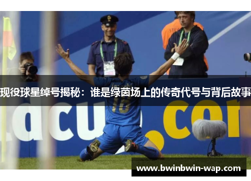 现役球星绰号揭秘：谁是绿茵场上的传奇代号与背后故事
